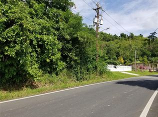 Carr 181 Km 31.4 Bo Marin Abajo #3, Patillas, PR 00723