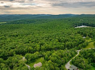 351 White Roe Lake Rd, Livingston Manor, NY 12758