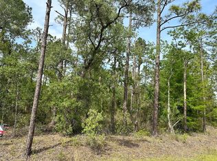 SW Sea Cliff Ave LOT 22, Dunnellon, FL 34431