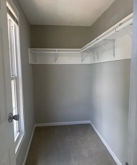 810 Wide Oak Ct — Photo 11