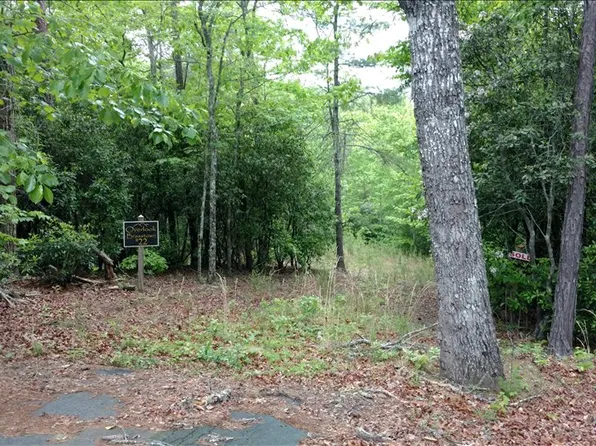 LOT 22 Brasstown Vw, Brasstown, NC 28902