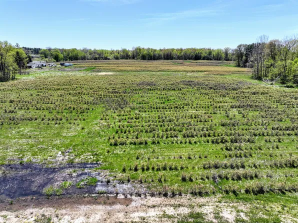 59237 Benny Ct #4, Grand Junction, MI 49056