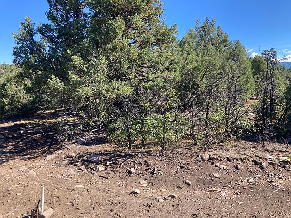 2nd image of 1 Ponderosa
