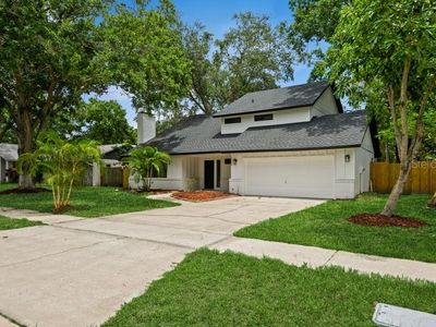14909 Oldgate Pl, Tampa, FL, 33624