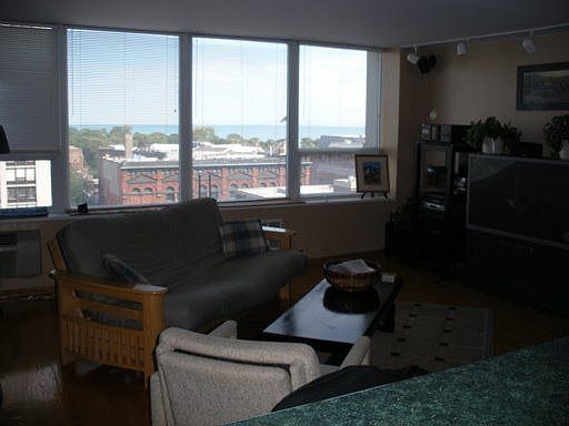 1st image of 1460 N Sandburg Ter APT 1110A