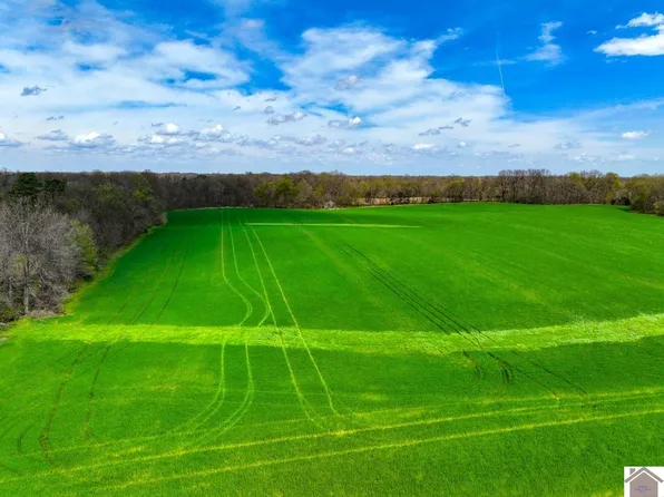0 Carlton Rd, Murray, KY 42071
