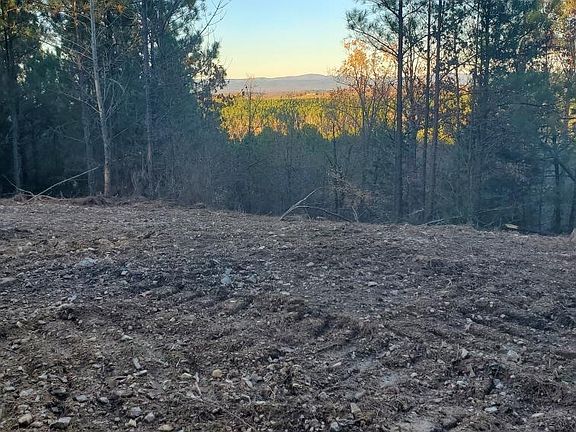 3rd image of Polk Rd #617