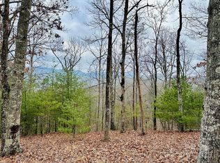 275 Raccoon Run LOT 24, Marshall, NC 28753