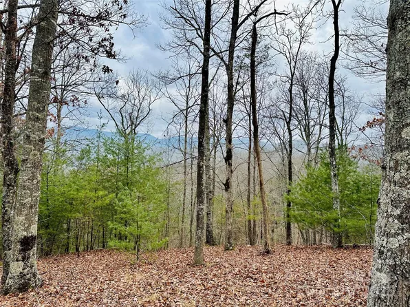 275 Raccoon Run Lot 24, Marshall, NC 28753