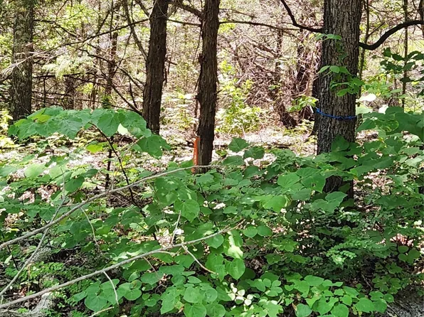 Tbd Pilot Grove Rd, Whitewright, TX 75491