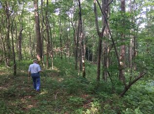 0 Franklin D Roosevelt #6166, Topton, NC 28781