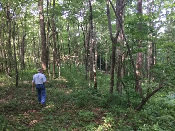 0 Franklin D Roosevelt #6166, Topton, NC 28781