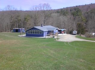1295 Hoffman Hollow Rd, Lowman, NY 14861