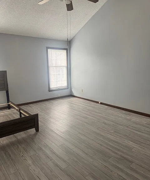 Master Bedroom Vaulted Ceilings
