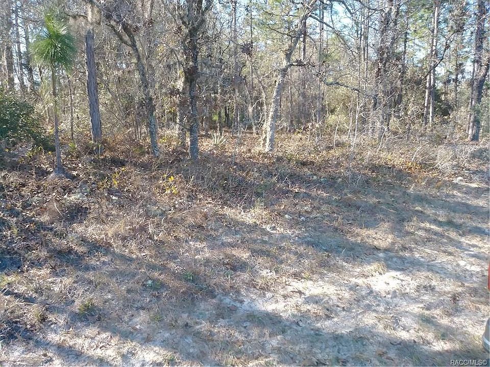 1st image of 7096 N Maltese Dr