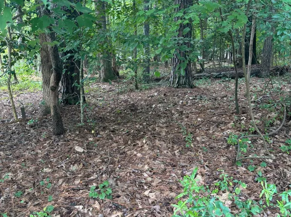 116 Blackfoot Dr #788, Louisburg, NC 27549