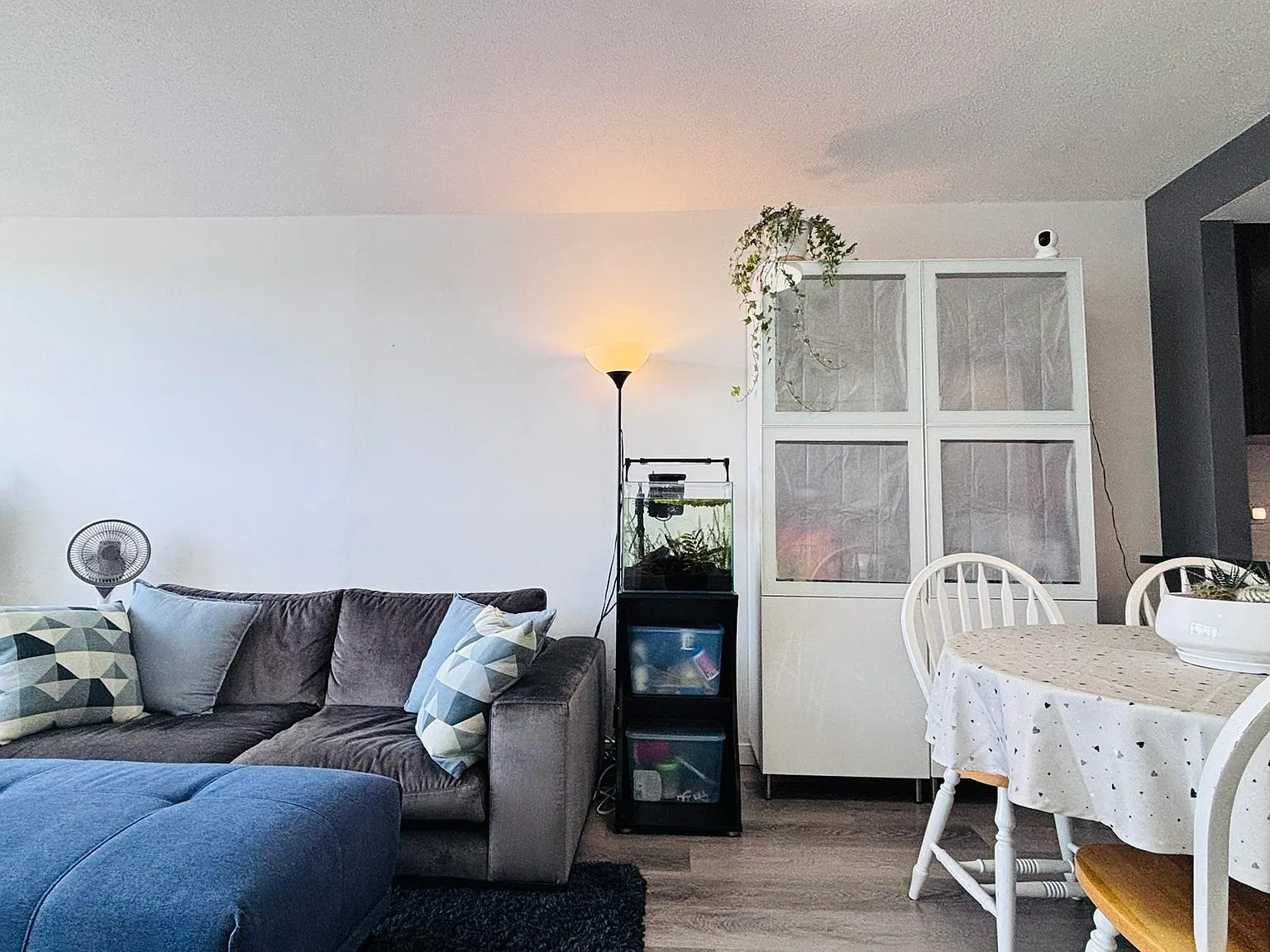 1 bed, 639 sqft, $1,900 — Photo 4
