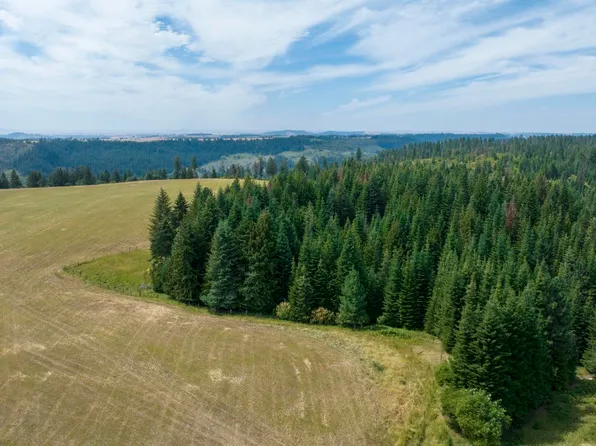 1605 Jasmine Ln Parcel 12, Weippe, ID 83553