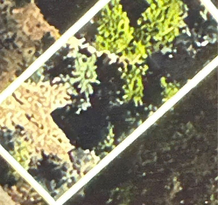 1st image of 0 Canyon Dr Lot 14