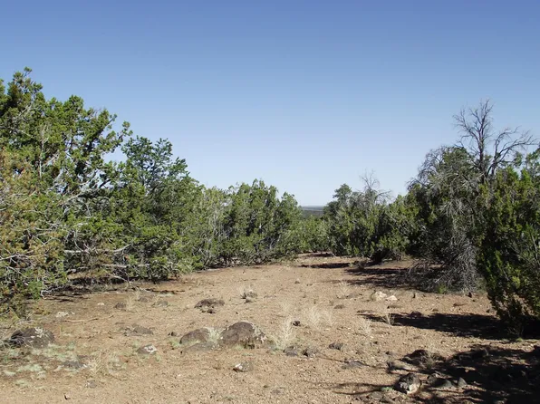 837 E Jackpine Ln #47, Williams, AZ 86046