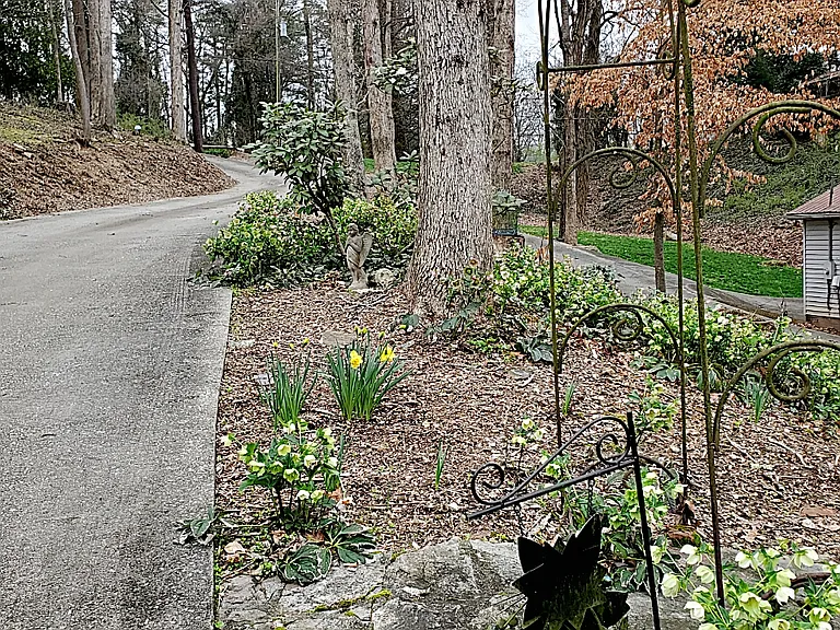 Driveway entrance to the one bedroom