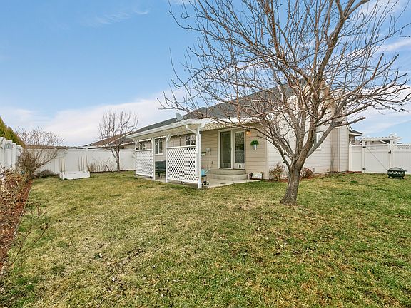 Apricot & Nectarine trees