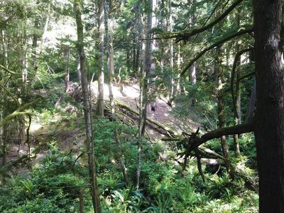 Ocean View Ave, Arch Cape, OR, 97102