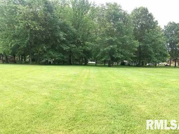 L3 Webb Ct, Dawson, IL 62520
