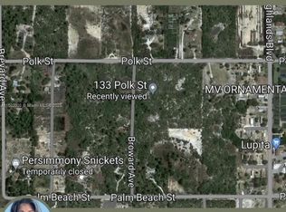 133 Polk St, Lake Placid, FL 33852