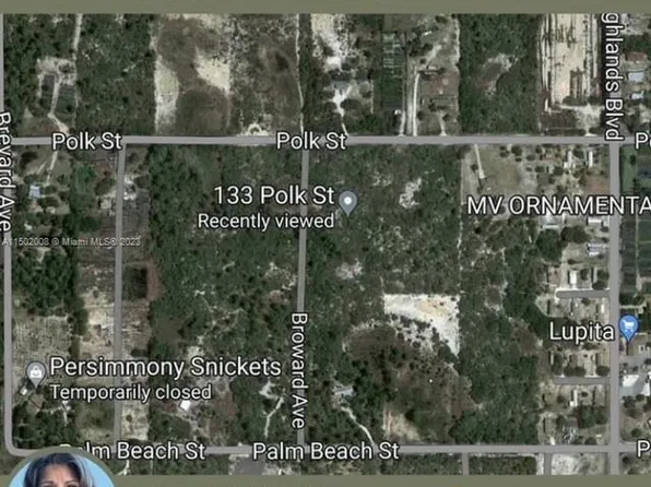 133 Polk St, Lake Placid, FL 33852