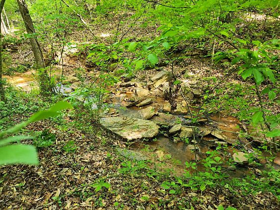 4th image of 703/ACRE S Leroy Rd