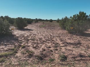 9445 Texas Ln, Show Low, AZ 85901