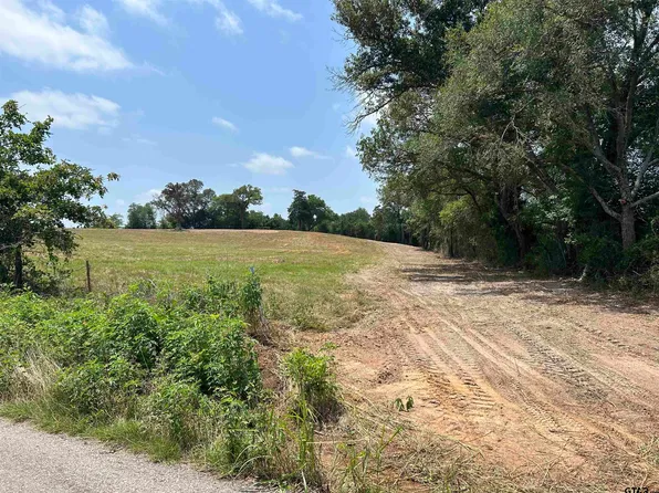 LOT 1 County Road 2166, Troup, TX 75789