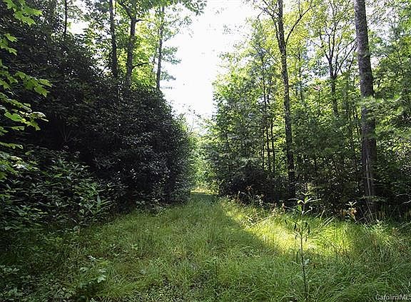 4th image of Linville Ave #67