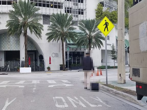 4th image of 1717 N Bayshore Dr APT 1956