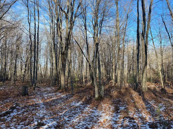 Emig Rd, Comins, MI 48619