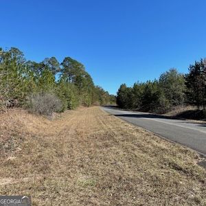 40/ACRE S Pineville Rd, Buena Vista, GA, 31803