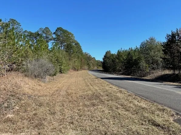 40/ACRE S Pineville Rd, Buena Vista, GA 31803