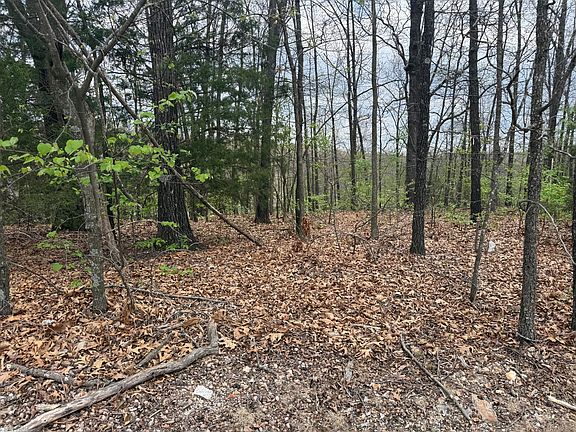 3rd image of Lot 10 Entry Road