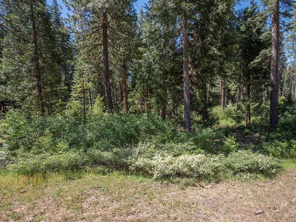 2nd image of 11 Timber Trail Ct #11