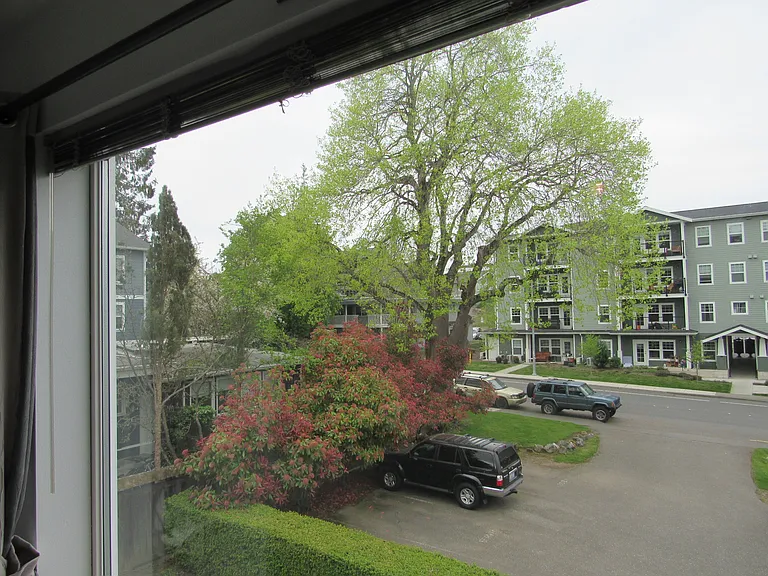 1024 Billy Frank Jr St #301 — Photo 24