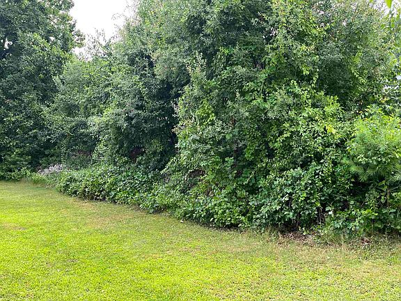 5th image of 53 CORAL Lane