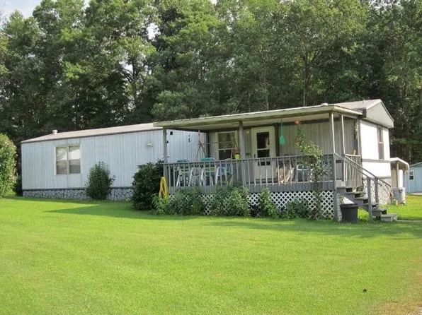 1173 Mount Holston Rd, Bluff City, TN 37618