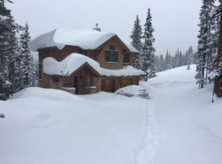 363 Bullion Mine Rd, Montezuma, CO 80435