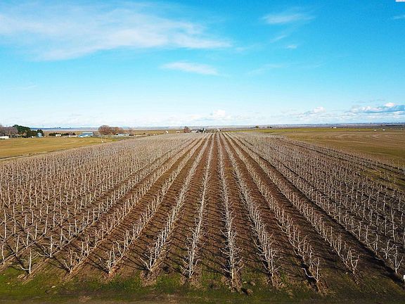 4th image of 150 Fern Rd