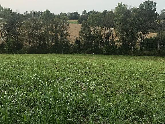 View from back property line