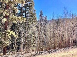 642 Quartzville Rd, Alma, CO 80420