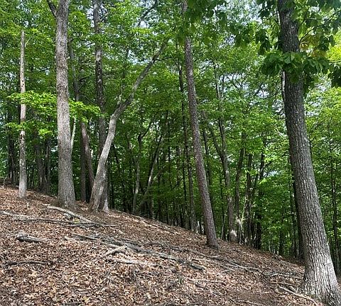 2nd image of 4 Hamptons Knob Rd