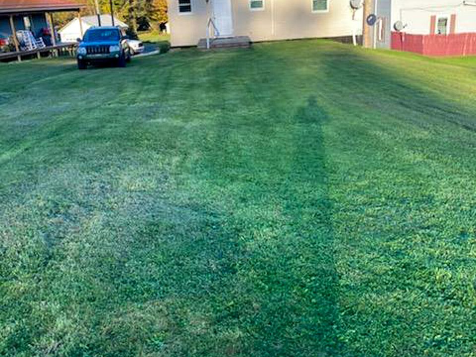 711 St, Lilly, PA 15938 Zillow