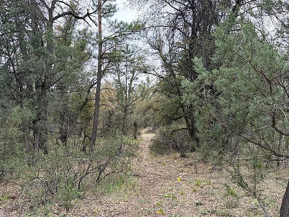 3rd image of 117 N Rifle Barrel Road #41